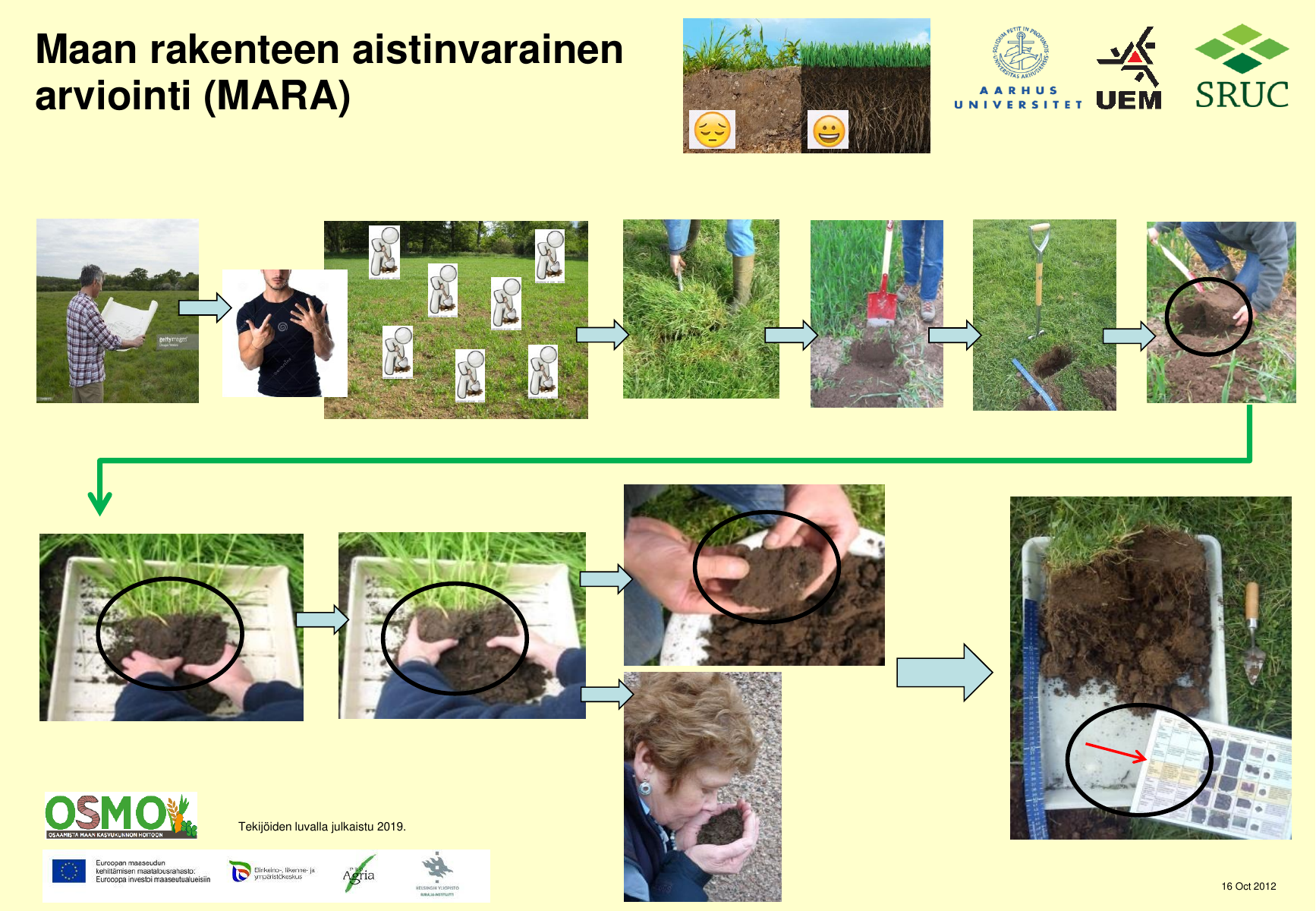Visual guide showing the process of assessing soil structure in the field