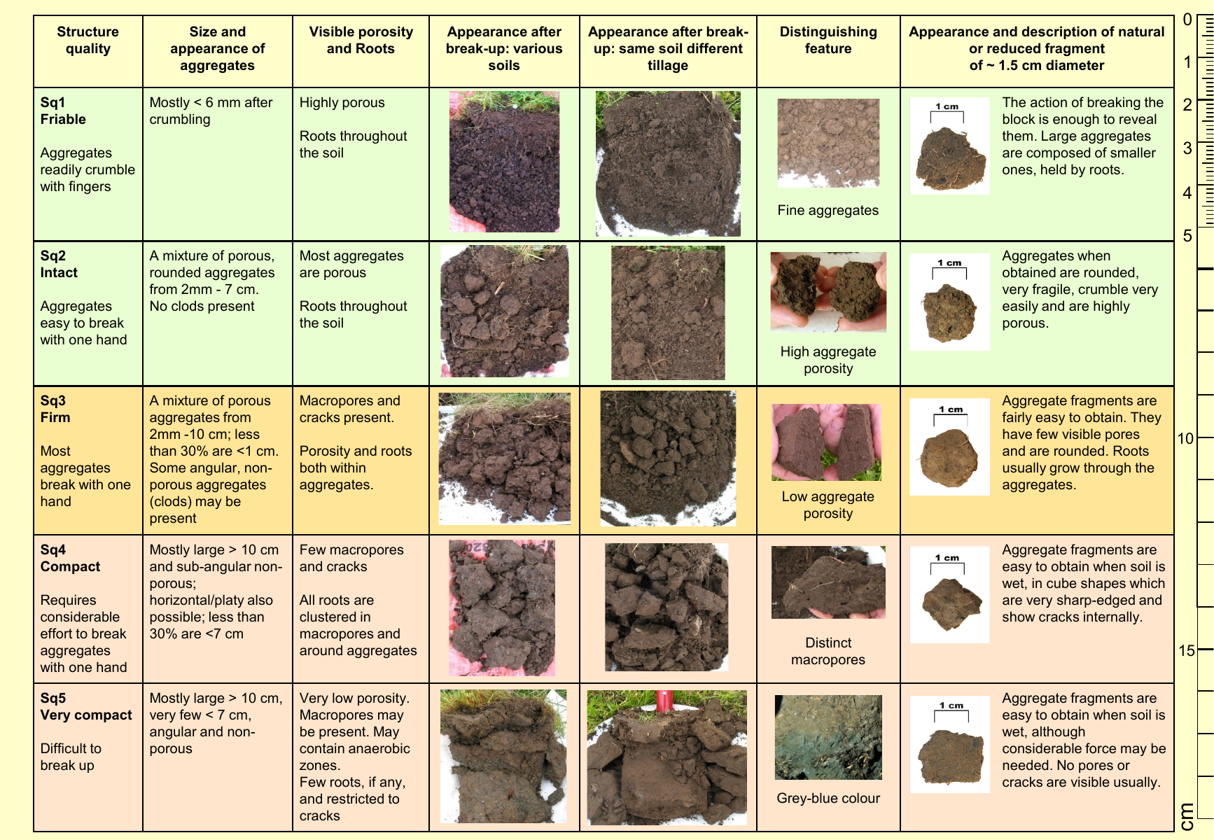 Soil structure reference chart showing examples of different soil structure conditions